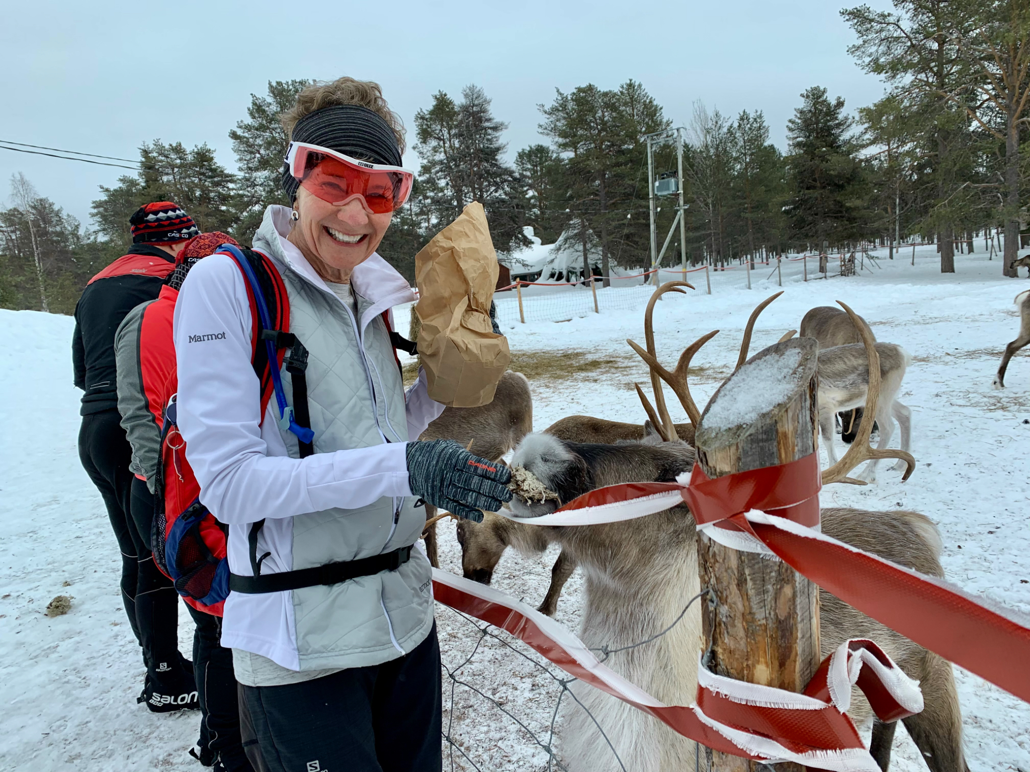 Brenda feeding the reindeer